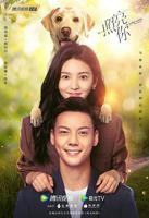 《照亮你》电视剧免费在线观看全集高清完整版