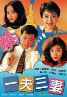 一夫三妻免费在线观看电视剧