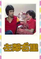 《左邻右里》粤语电视剧全集免费在线观看高清完整版