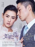 张柏芝版《如果爱》电视剧在线观看全集免费播放 